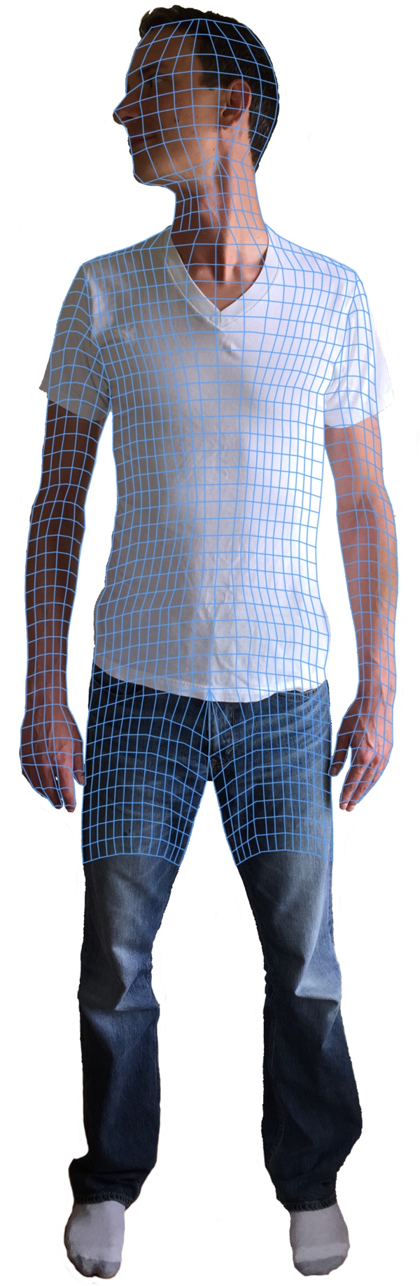 Visualization of the web-like nature of fascia on Man's Body